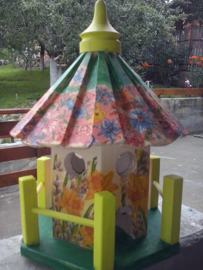 casuta pictata,de vrabiute (2)