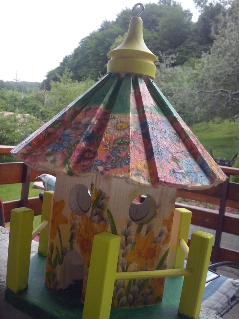 casuta pictata,de vrabiute (3)